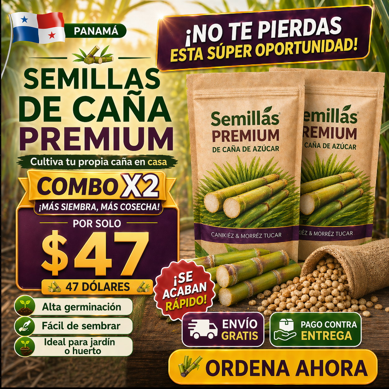 Semillas Premium de Caña de Azúcar 🌿