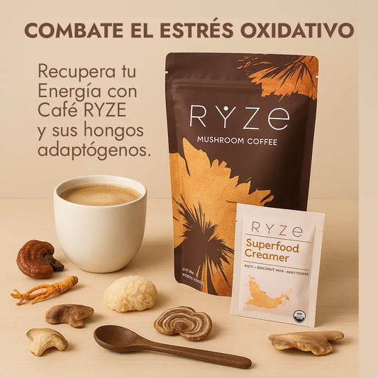 RYZE Mushroom Coffee – Energía Más Estable, Sin Los Bajones Del Café Tradicional