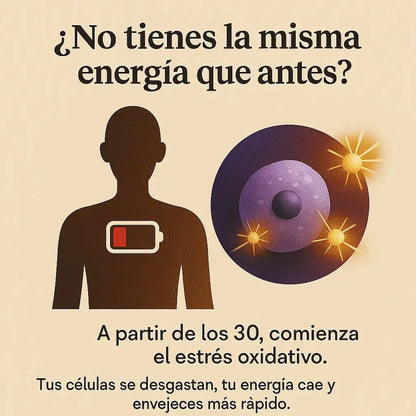 RYZE Mushroom Coffee – Energía Más Estable, Sin Los Bajones Del Café Tradicional