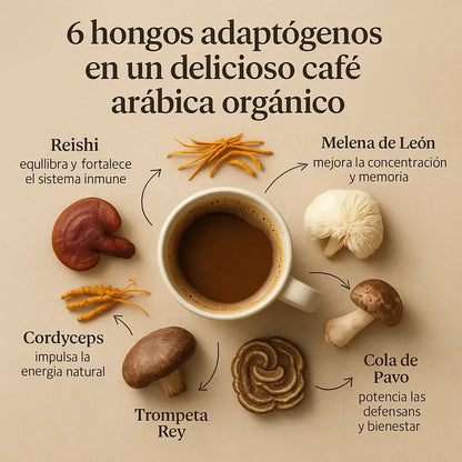 RYZE Mushroom Coffee – Energía Más Estable, Sin Los Bajones Del Café Tradicional
